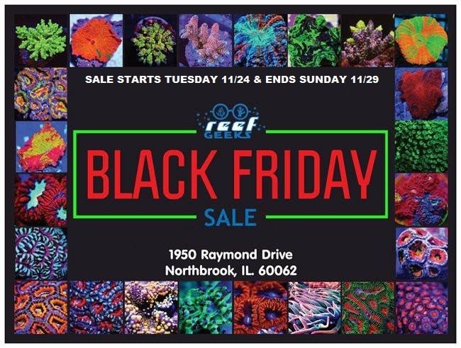 black friday reef